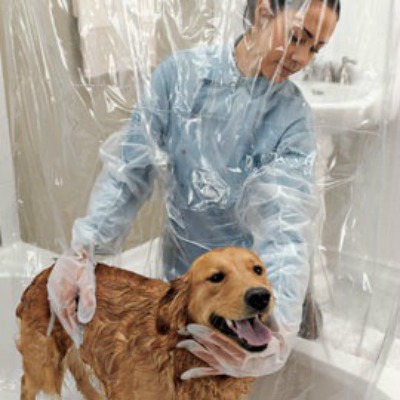 dog shower