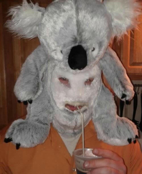 TT Koala Mask